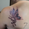 Motyl