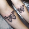 Motyl