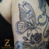 Motyl_DESIGN_Z.Saradinova