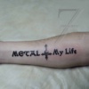 Pro_fanouska_metalu_NAVRH_Z.Saradinova