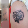 Ruze_coverup