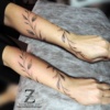 Vetvicka_FREEHAND