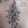 Vyhojene_kvetiny_na_zadech