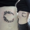 Zebra_kvetiny_s_datem
