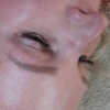 DSCN8583b